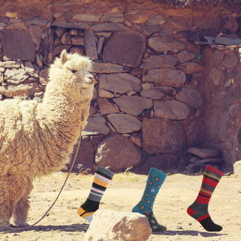 Alpaca Socks - Shupaca