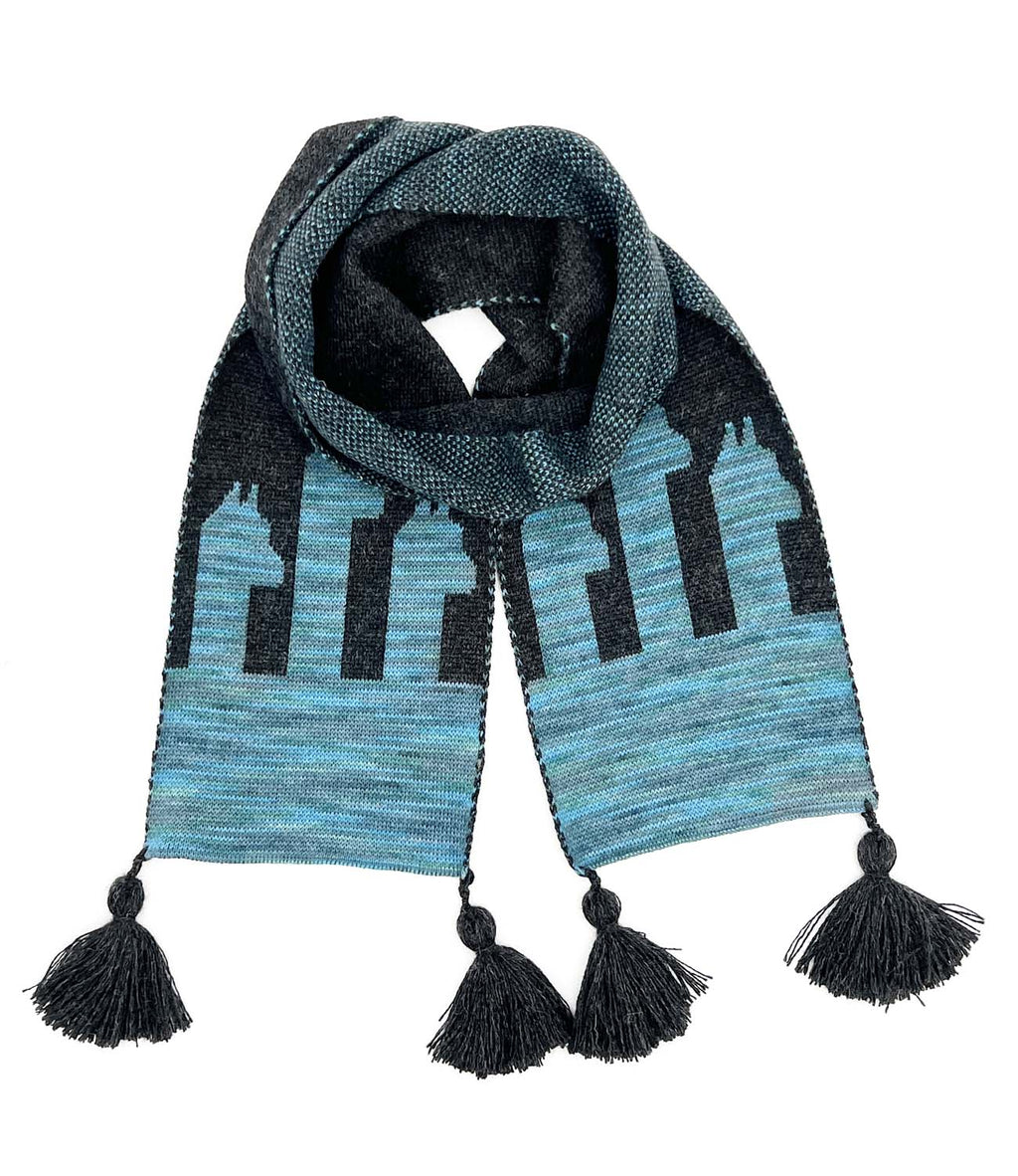 Aqua Paca kid's alpaca scarf with alpaca pattern and tassels, Shupaca