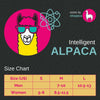 NEW! Alpaca Socks - Tetris - Aqua by Shupaca